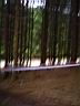 DSC00272.jpg