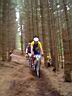 DSC00280.jpg