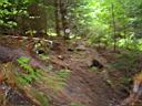 DSC00295.jpg