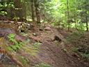 DSC00296.jpg