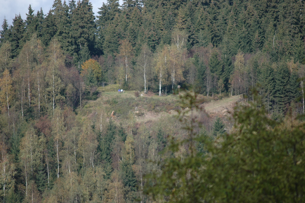 DSC_0356
