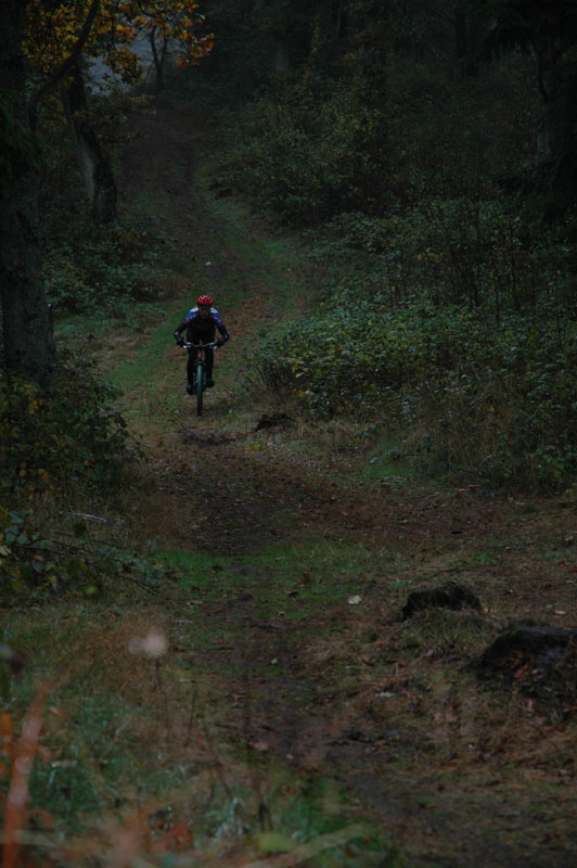 DSC_0612