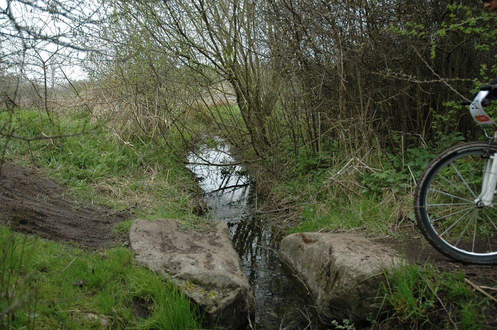 DSC_1803