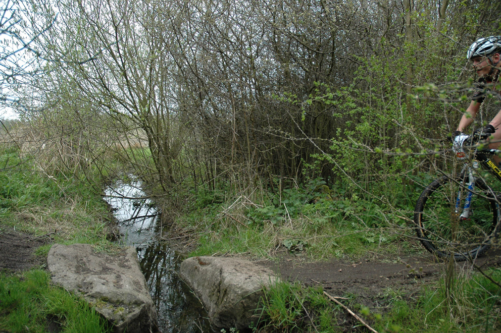 DSC_1808
