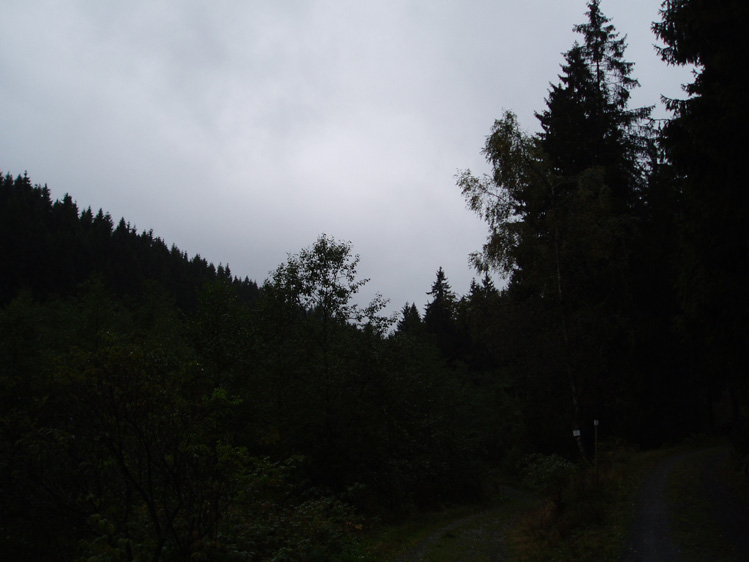 PA010063
