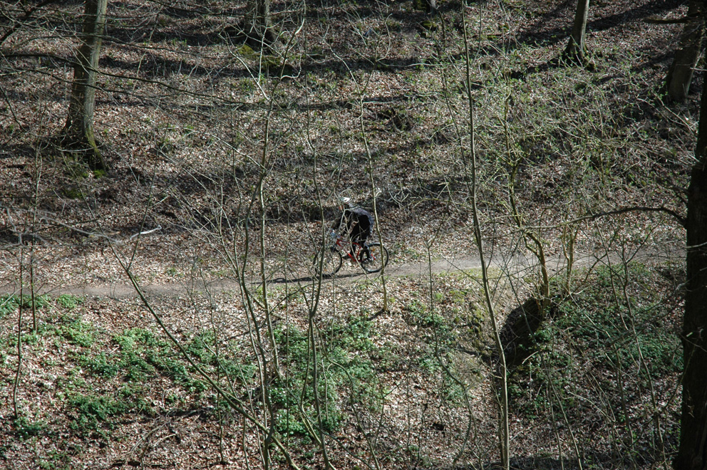 DSC_1712
