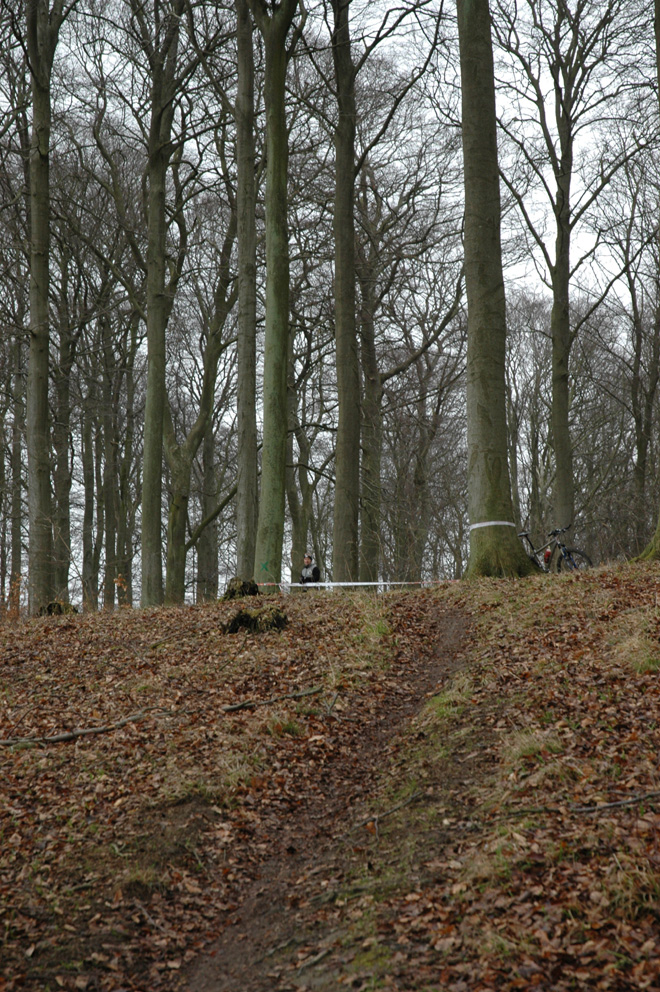 DSC_0982