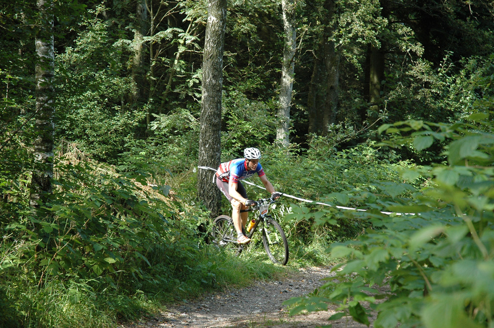 DSC_4016