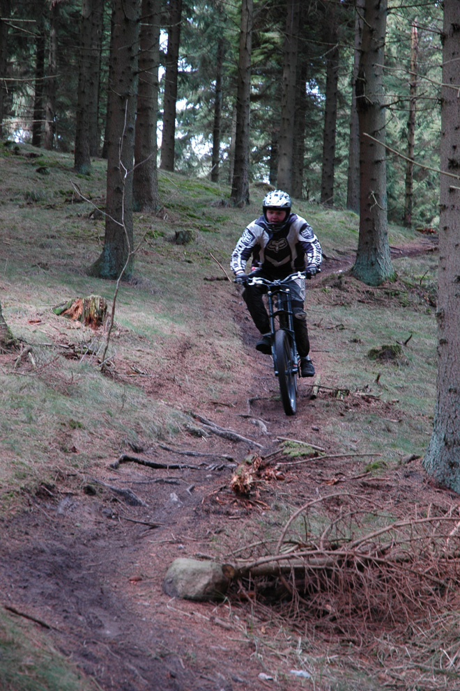 DSC_5185