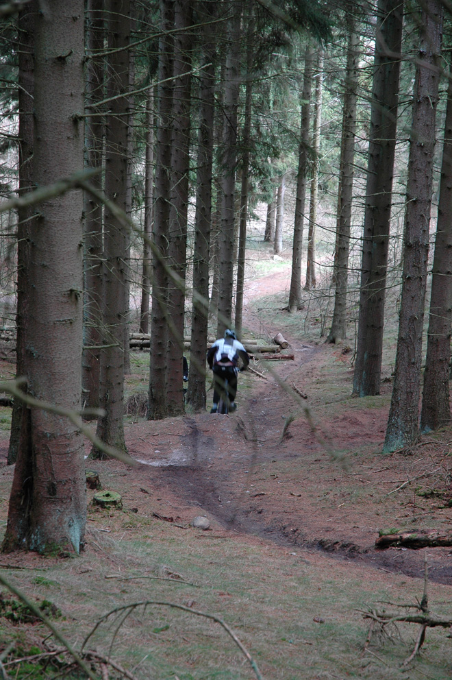 DSC_5268