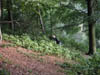 PICT0042