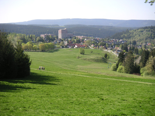 Billede 012