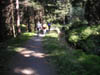 Billede 010