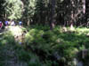 Billede 011