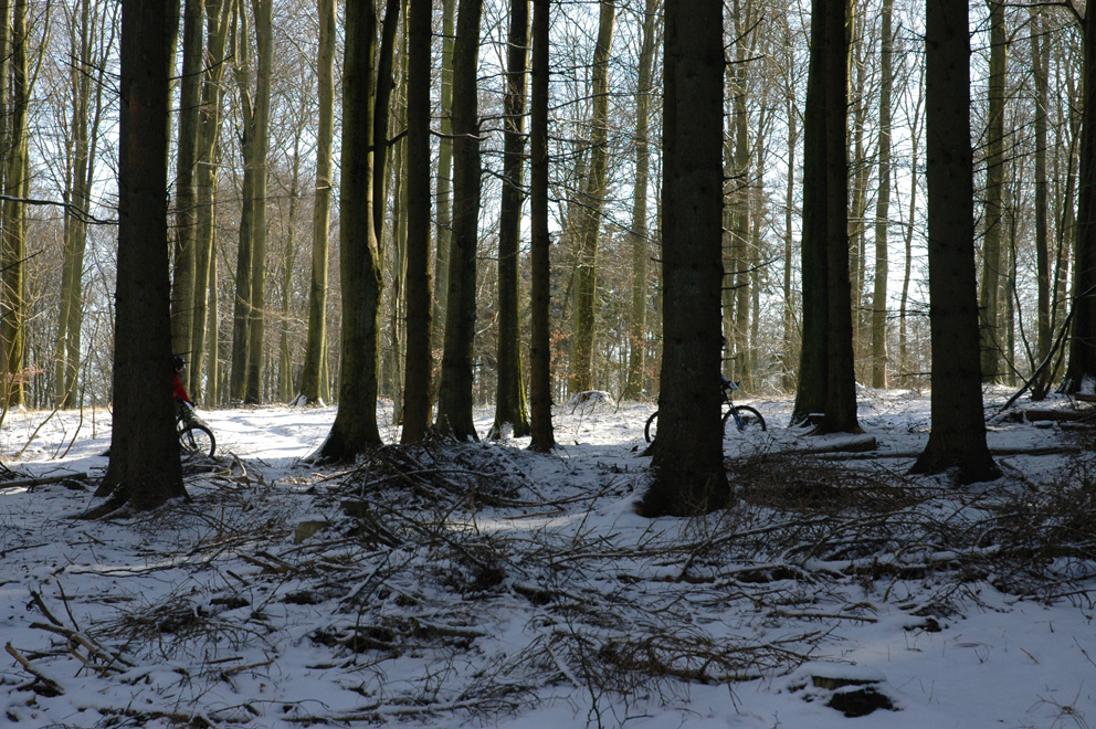 DSC_4984