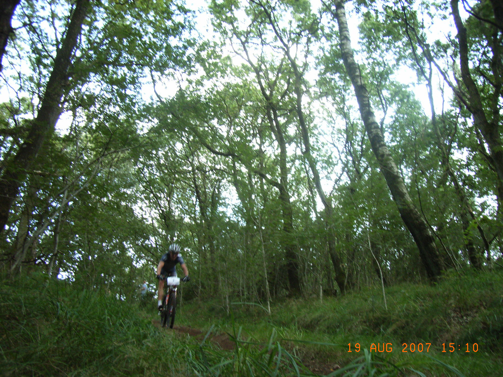 RIMG0067