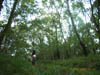 RIMG0067