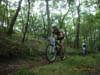RIMG0070