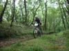 RIMG0075