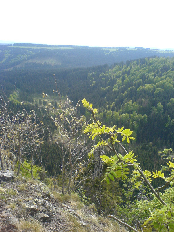 DSC00910