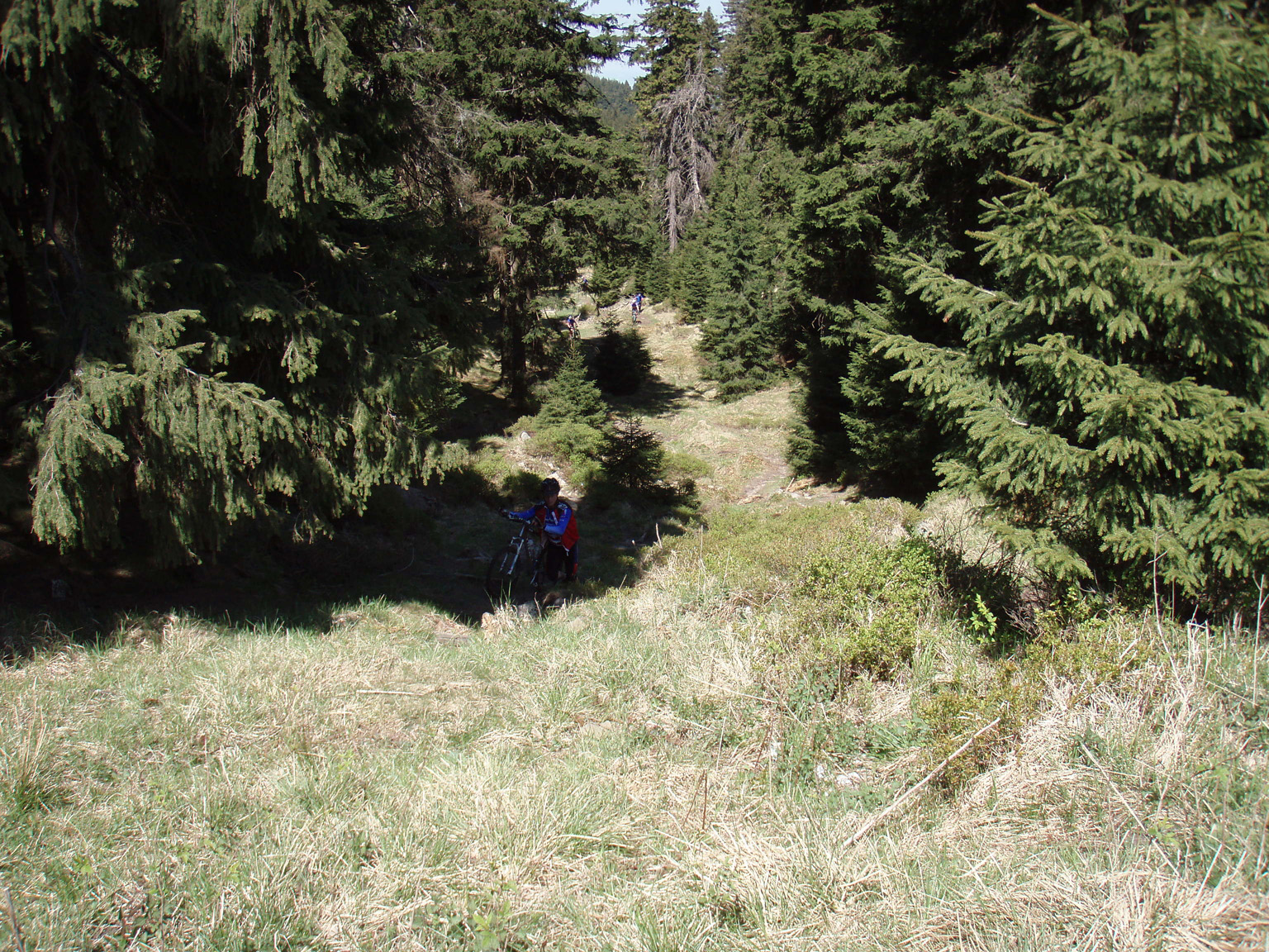 P5040127