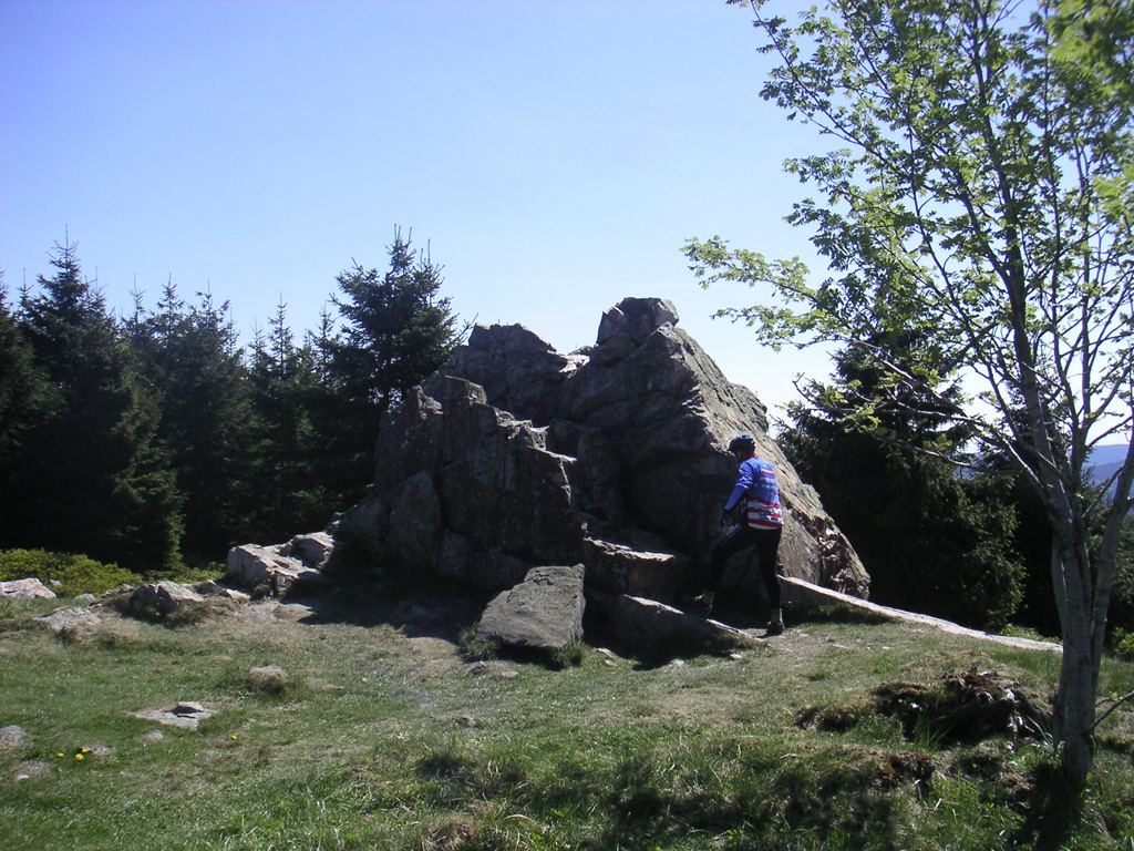 PICT0050