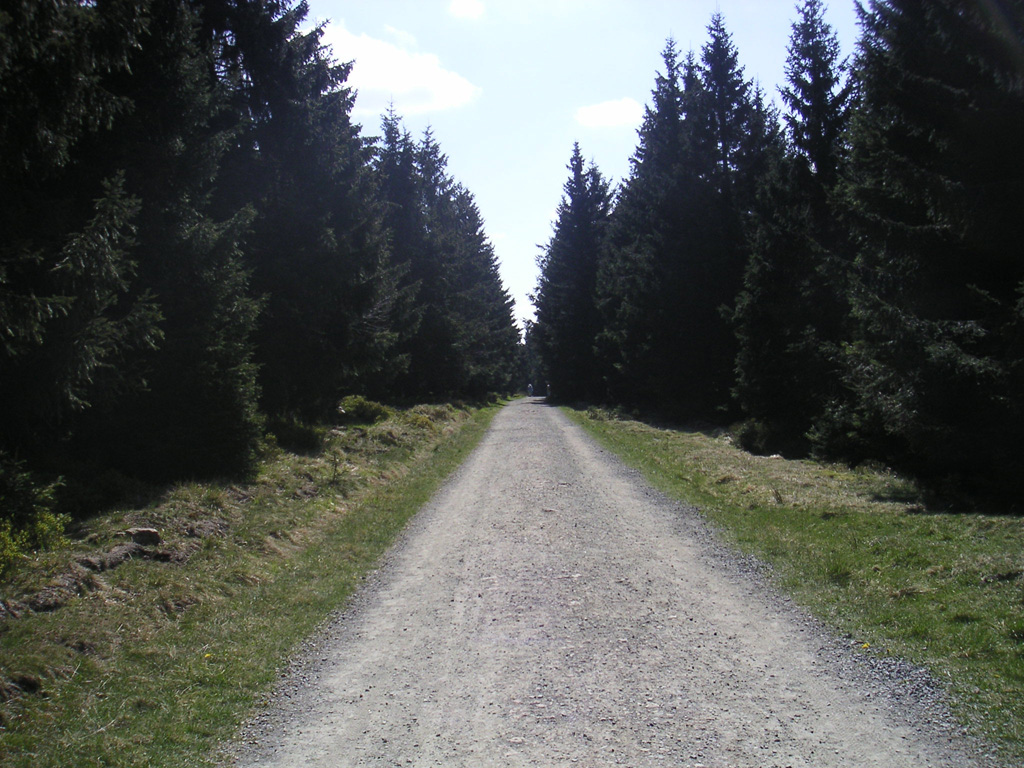 PICT0105