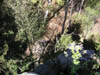 PICT0023