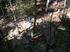 PICT0025