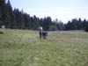 PICT0044