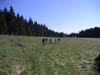 PICT0045
