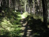 PICT0061
