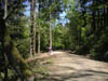 PICT0066