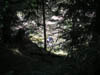 PICT0085
