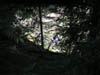 PICT0086