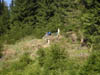 PICT0094