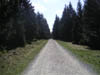 PICT0105