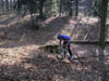 PICT0011