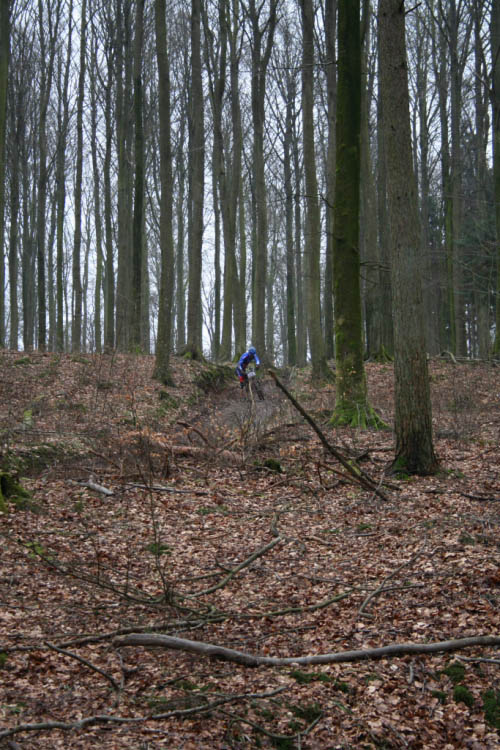 DPP_0147