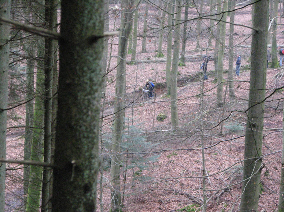 IMG_0454