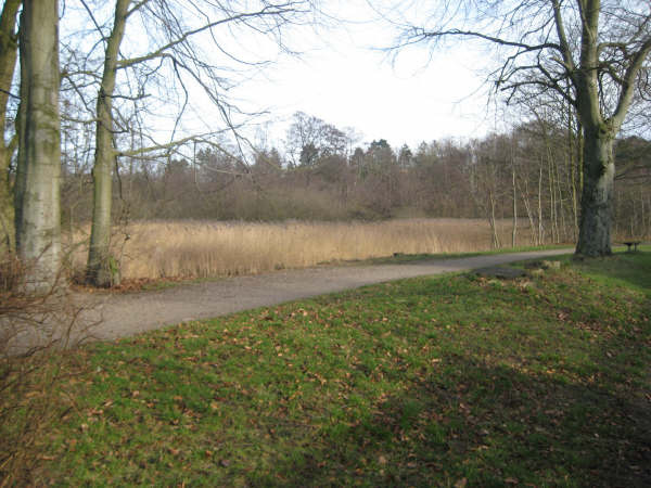 billeder mathias assens mtb 010