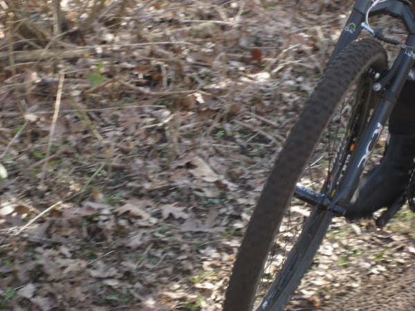 billeder mathias assens mtb 065