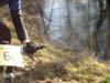 billeder mathias assens mtb 056