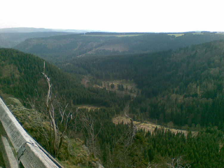 03052008(003)