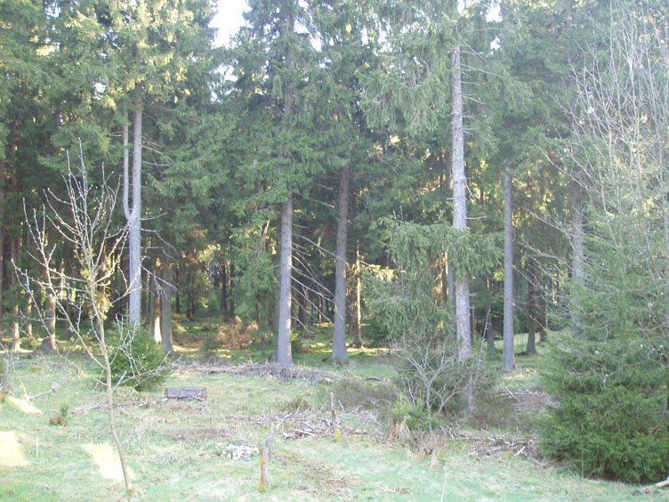 P1010002