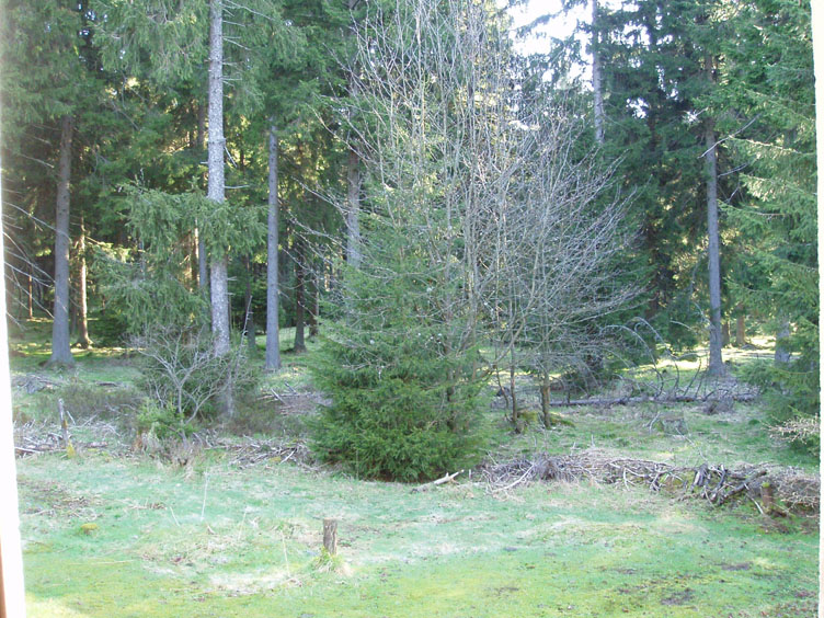 P1010004