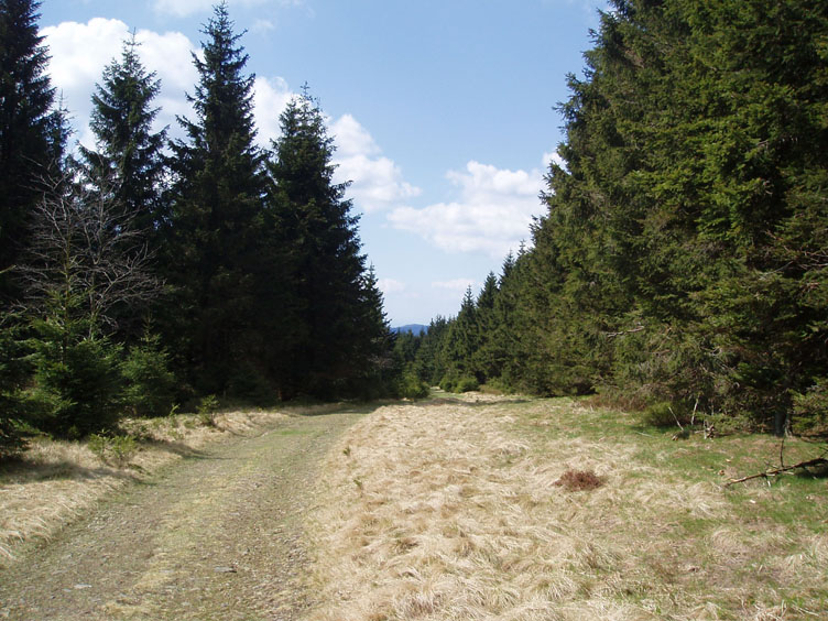 P1010005