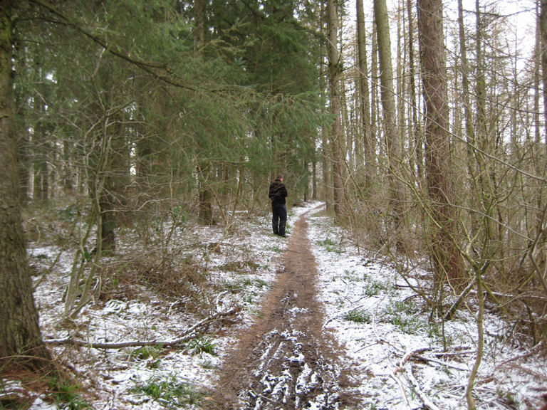 klasikker 005