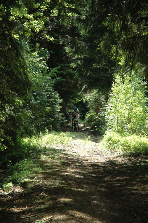 DSC_6949