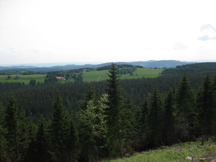 IMG_0085